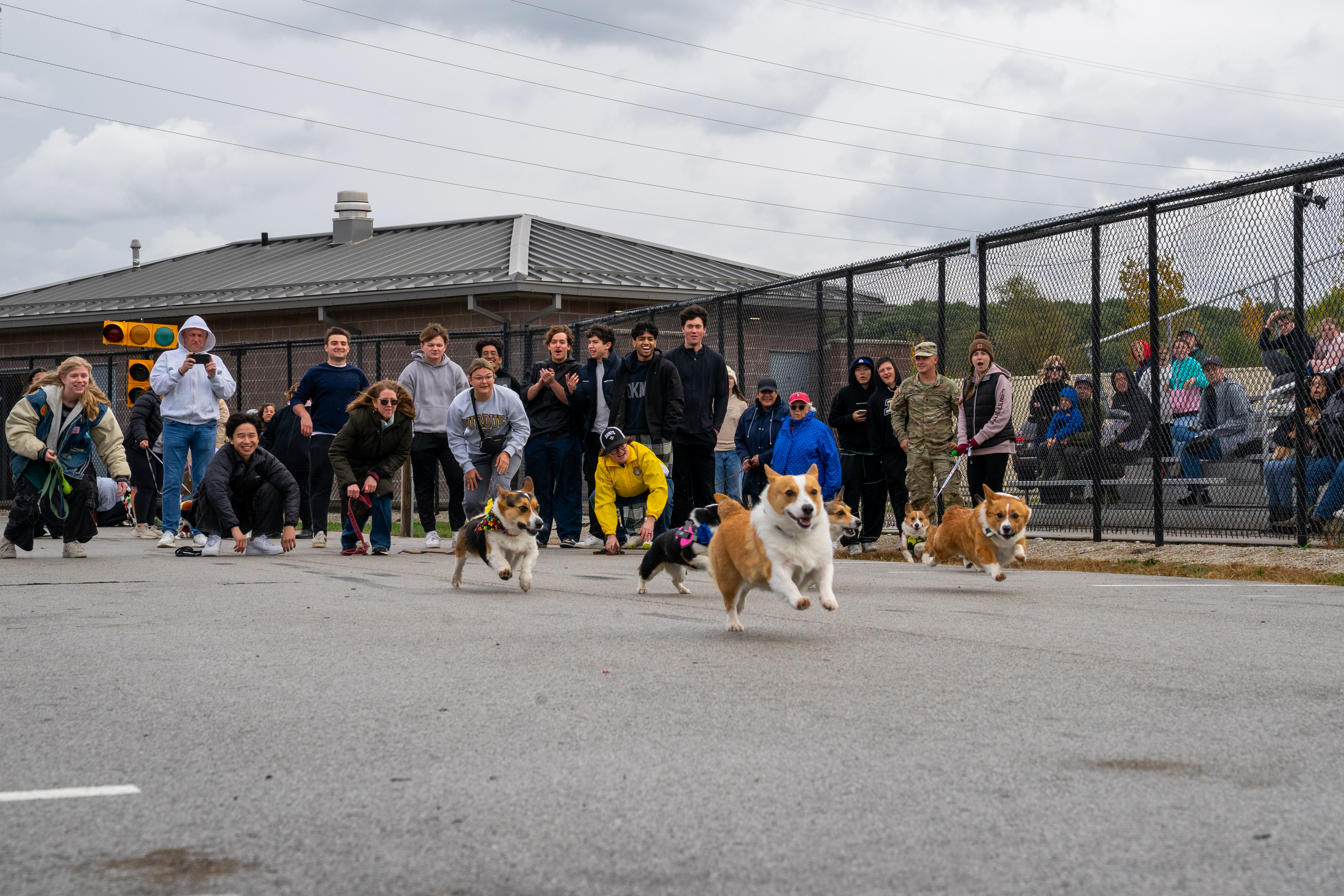 Dog owners at the Corgi Race