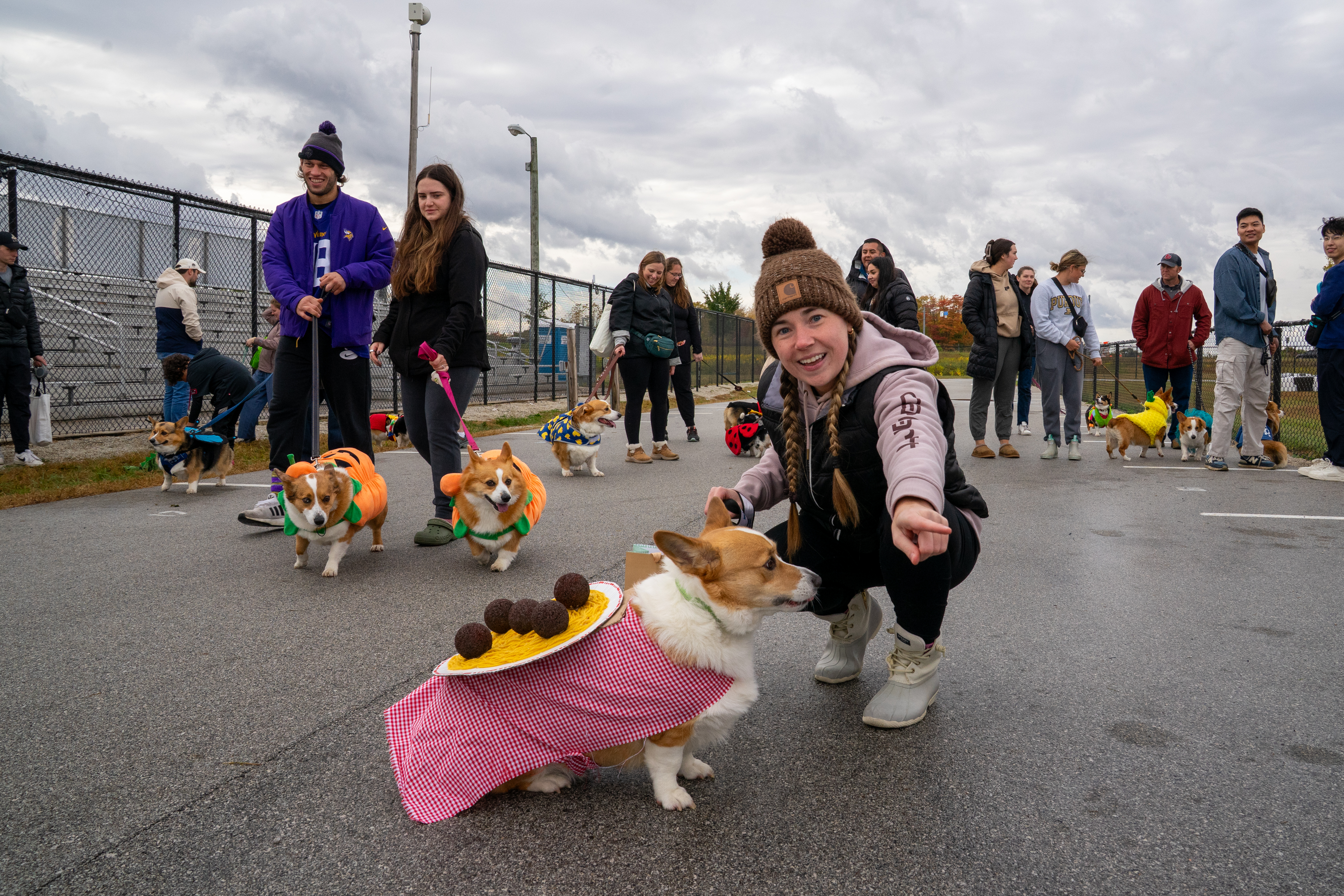 Corgi Race event energy
